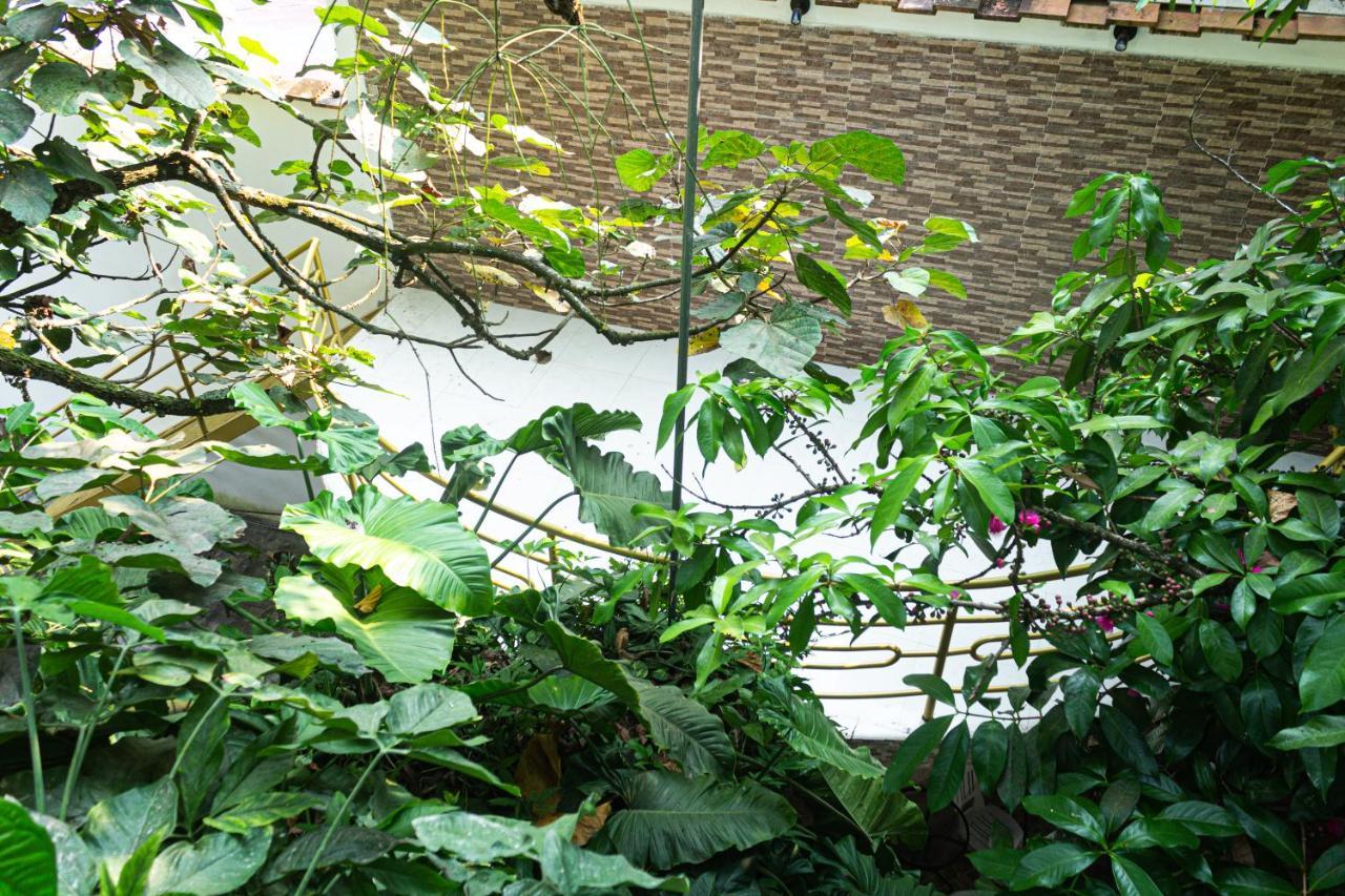 Green House Tarapoto Extérieur photo