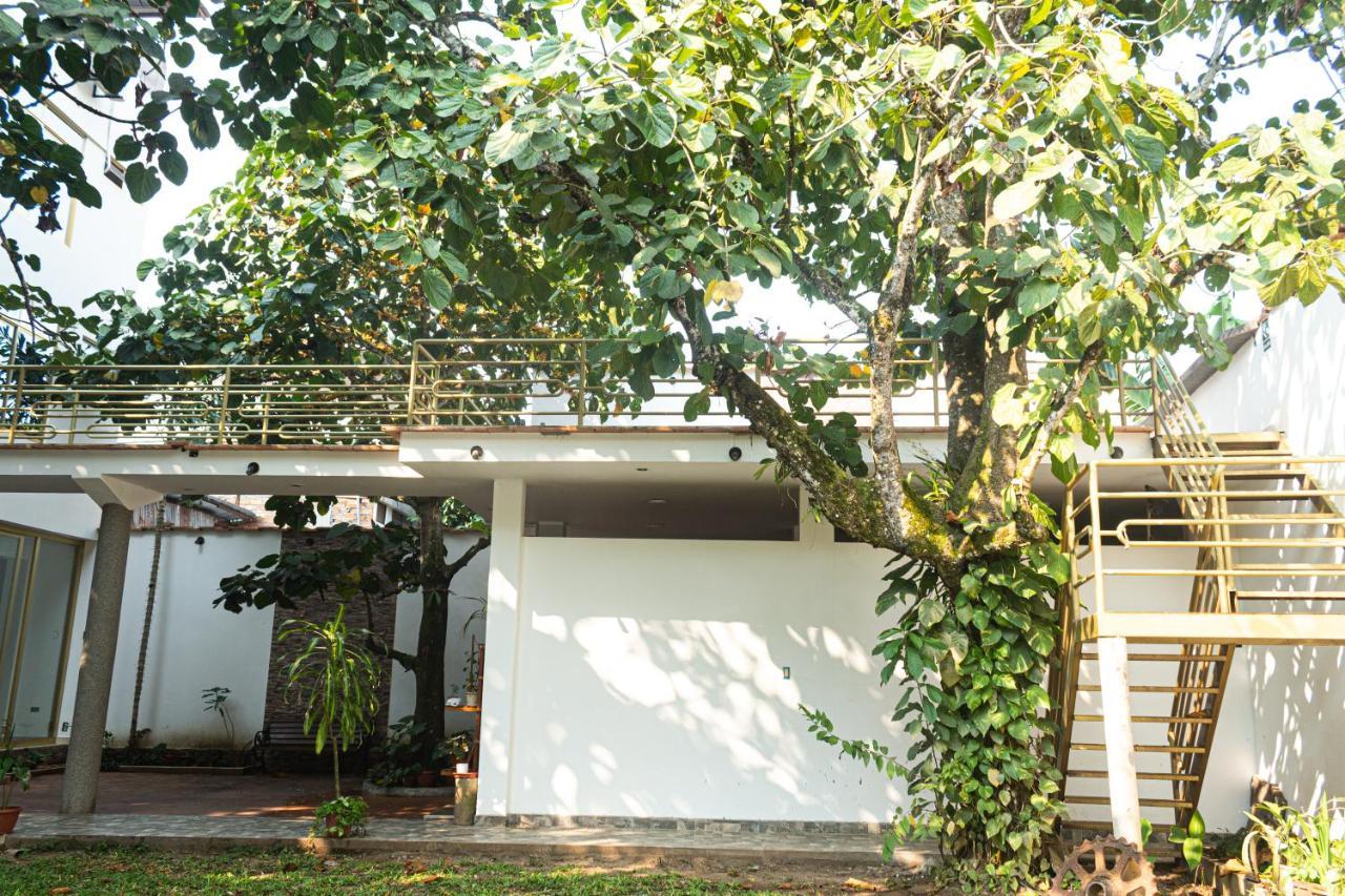 Green House Tarapoto Extérieur photo